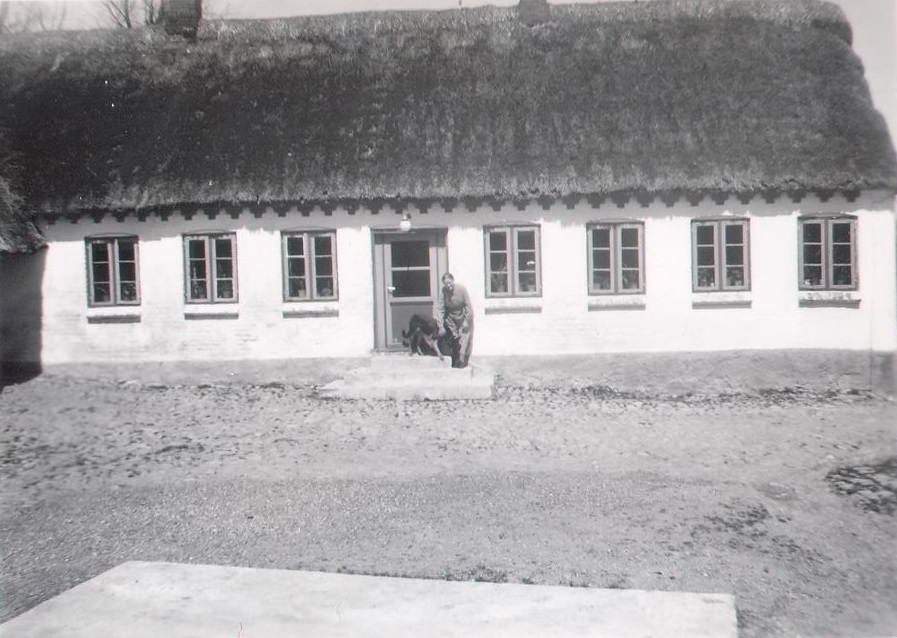 The farmhouse, which like the rest of the yard was thatched